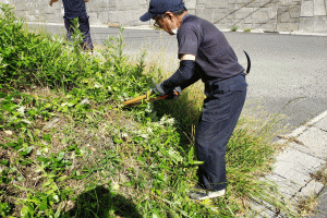 前の画像