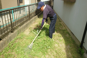 前の画像