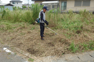 前の画像