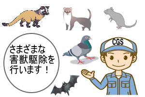 取外し～回収イメージ画像