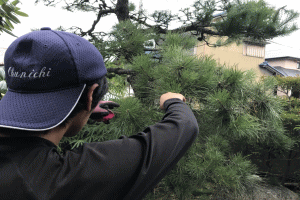 庭の剪定・伐採の風景画像